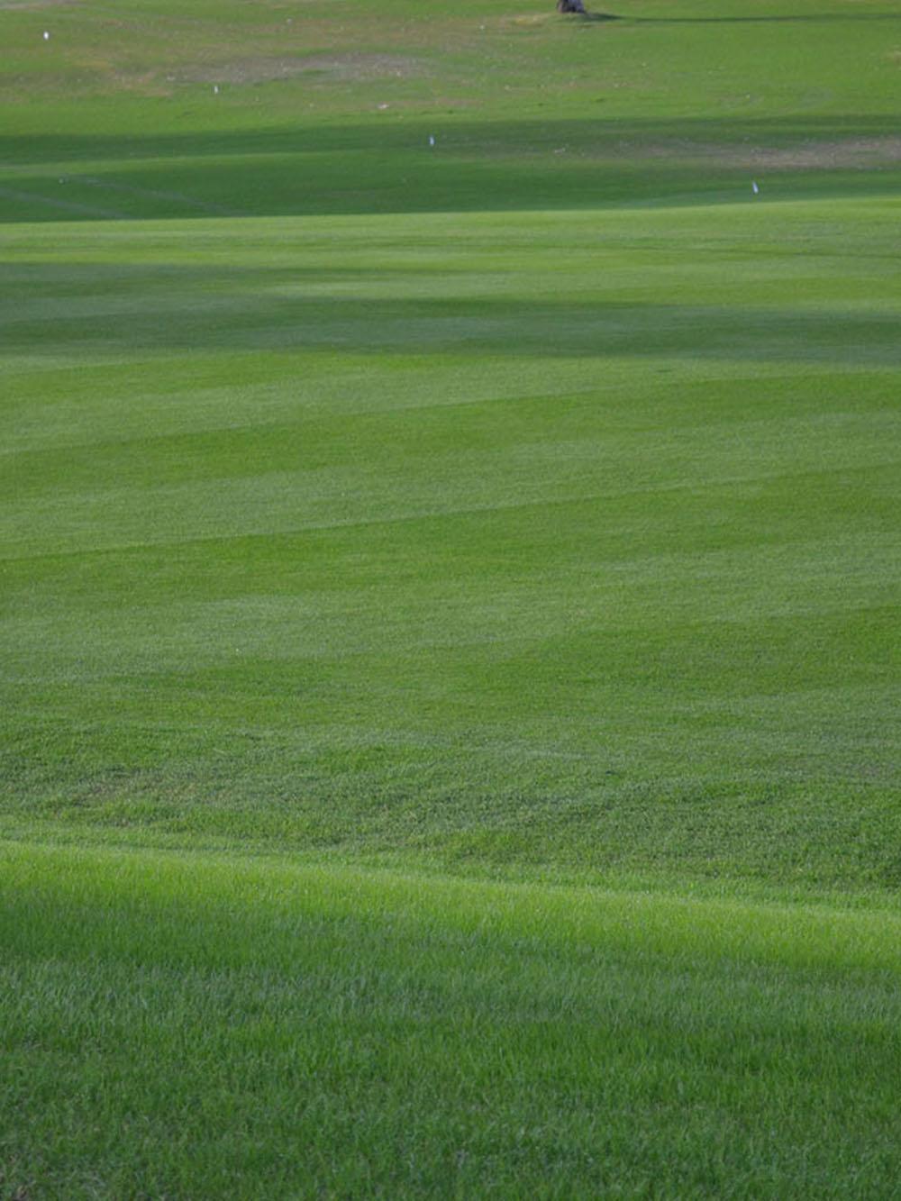 Futura Greens